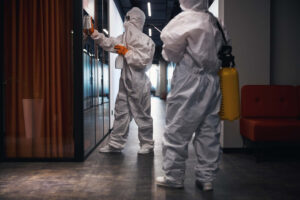 pest control solutions